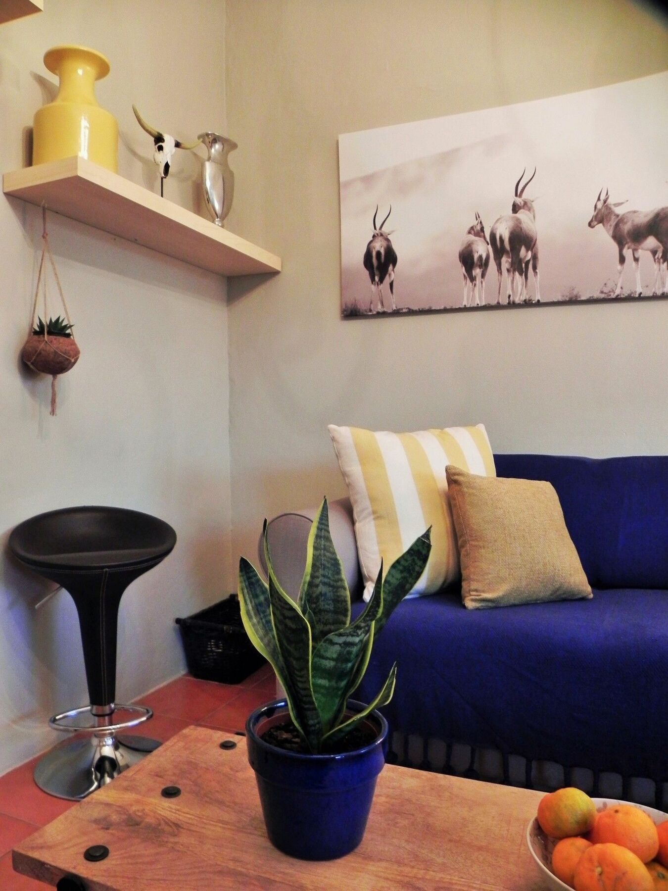 Royal Gala Cottage Franschhoek Ngoại thất bức ảnh