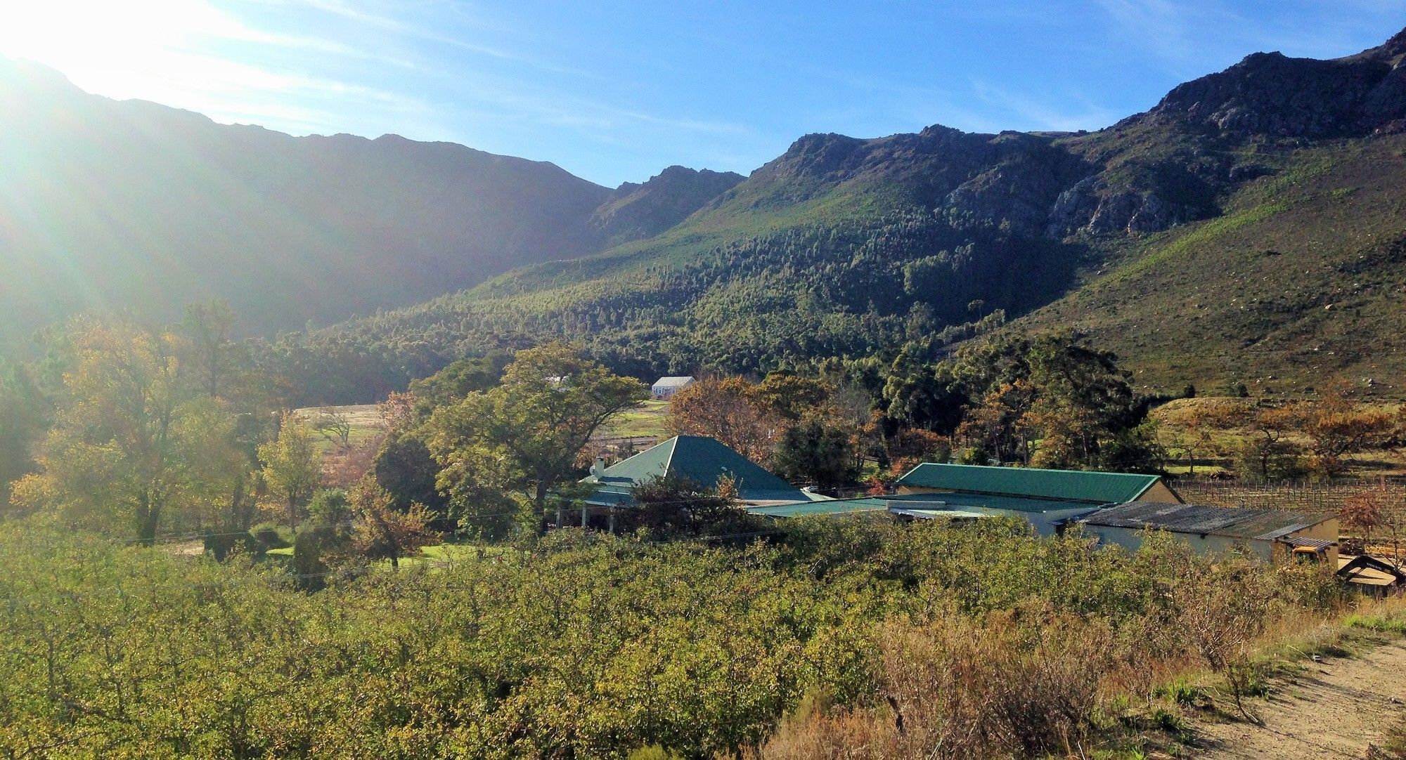 Royal Gala Cottage Franschhoek Ngoại thất bức ảnh
